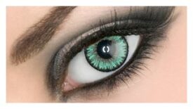 Venus Leaf Green
