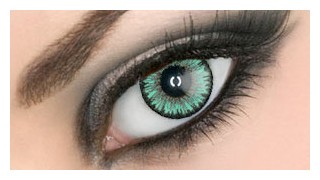 Venus Leaf Green Venus Leaf Green