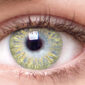 Chic Pure Hazel Color Contacts
