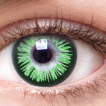 Chic Green Envy Chic Green Envy