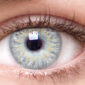 Chic Gray Contact Lenses