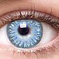 Chic Brilliant Blue