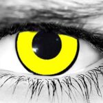 Crow Halloween Contact Lenses Crow Halloween Contact Lenses