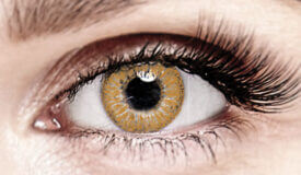 Bella Hazel Color Contacts