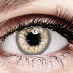 Bella Brown Chestnut Color Contact Lenses Bella Brown Chestnut Color Contact Lenses