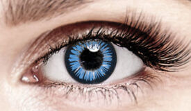 Bella Blue Plus Color Contact Lenses
