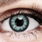 Bella Gray Plus Colored Contact Lenses