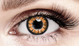 Bella Honey Plus Color Contacts
