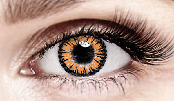 Bella Honey Plus Color Contacts Bella Honey Plus Color Contacts