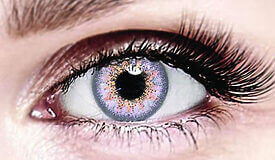 Bella Violet Rose Colored Contacts