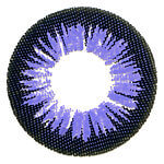 Color Max Violet Color Max Violet