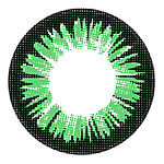 Chic Green Envy Chic Green Envy