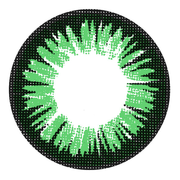 Chic Green Envy Chic Green Envy