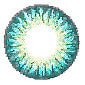 Chic Turquoise