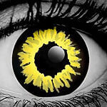 blackwolflenses WickedEyez Black Wolf