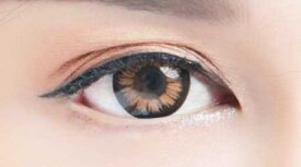 Color Max Brown Lenses
