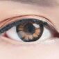 Color Max Brown Lenses