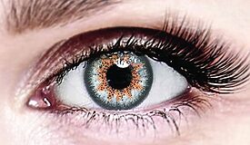 Bella Platinum Gray Colored Contacts