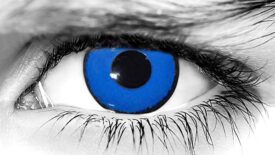 Blue Manson Halloween Contacts