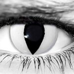 White Cat Halloween Contacts