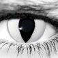 White Cat Halloween Contacts