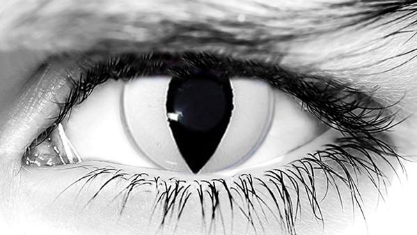 White Cat Halloween Contacts