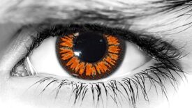 Golden Twilight Halloween Contacts