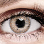 Bella Honey Color Contacts Bella Honey Color Contacts