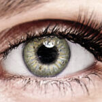 Bella Pure Hazel Color Contact Lenses Bella Pure Hazel Color Contact Lenses