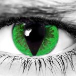 Green Reptile Halloween Contacts