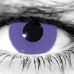 Night Vixen Halloween Contacts