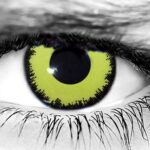 Louis Halloween Contacts