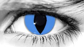 Cheshire Cat Halloween Contacts