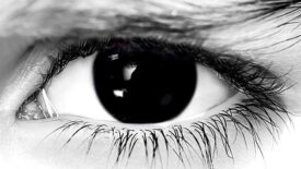 Black Out Halloween Contacts