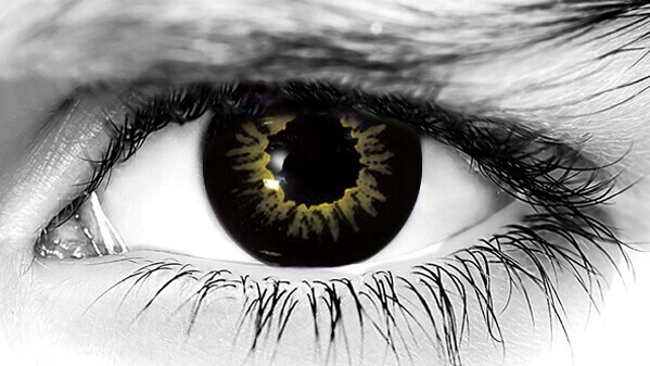 black wolf contact lenses black wolf contact lenses