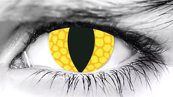 Yellow Reptile Halloween Contact Lenses Yellow Reptile Halloween Contact Lenses